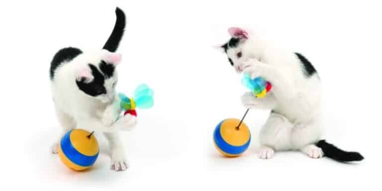 3-in-1 Spinning Cat Toy